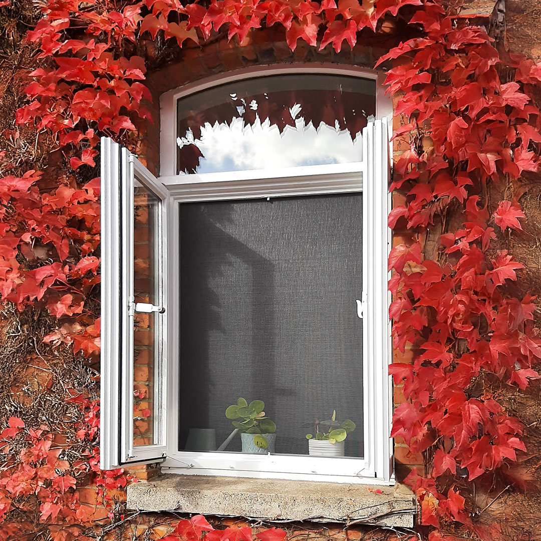 Insektenschutzrollo mit einstellbarer Federspannung für Fenster | Topline