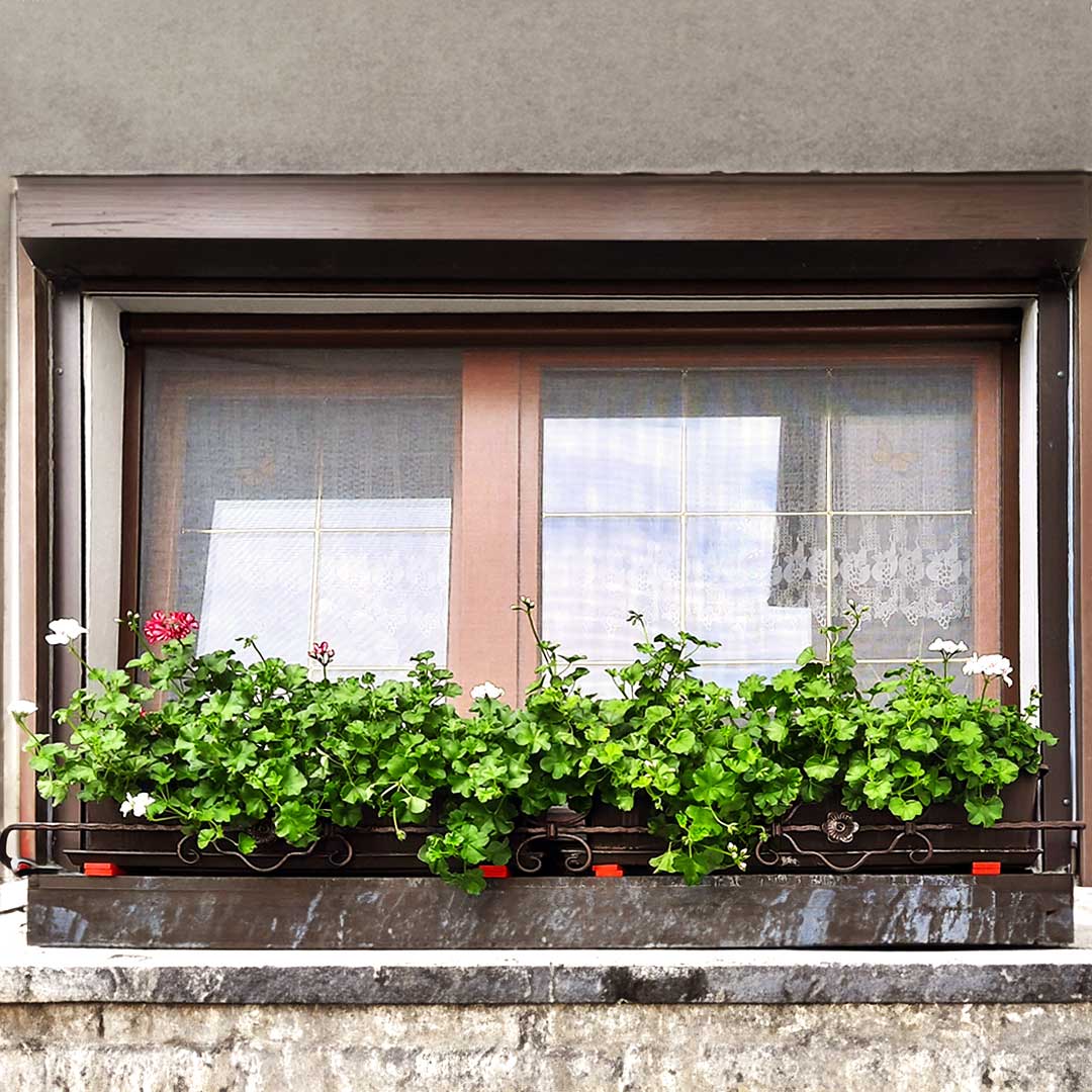 Insektenschutzrollo für Fenster  Rollo-Kasten auch zum Einklemmen