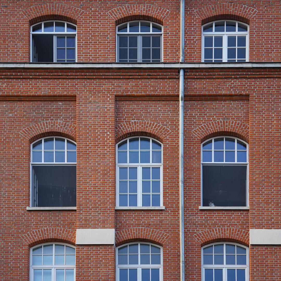 Insektenschutzrollo für Fenster | Klemmoption für Rollo-Kasten | Adria