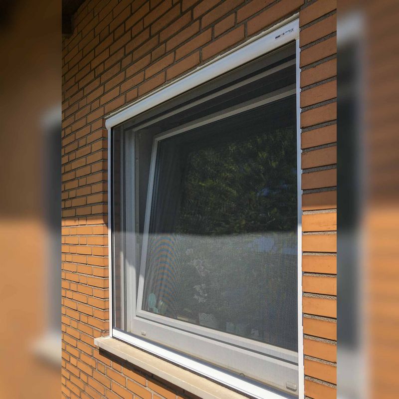 Insektenschutzrollo mit einstellbarer INAD-TL-FF | Topline Federspannung Fenster | für