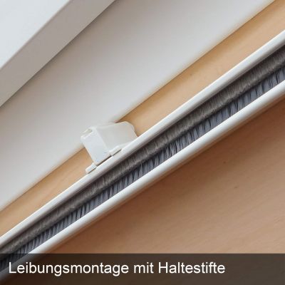 Unser Bestes für Dachfenster | mit runden Ecken und Bürsten | StarlineFix