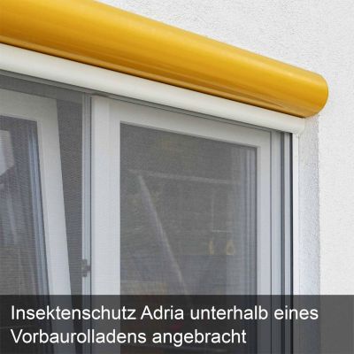 Insektenschutzrollo für Fenster | Klemmoption für Rollo-Kasten | Adria