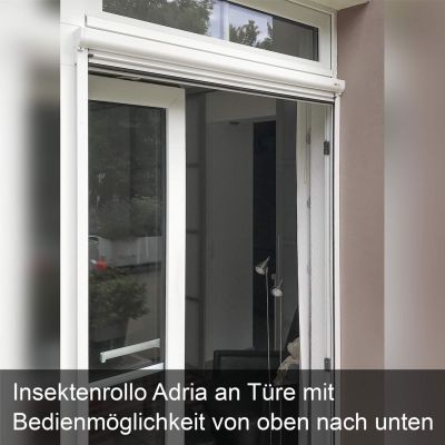 Insektenschutzrollo für Türen | innen mit Griffmulde | bis 1,2 m Breite | Adria